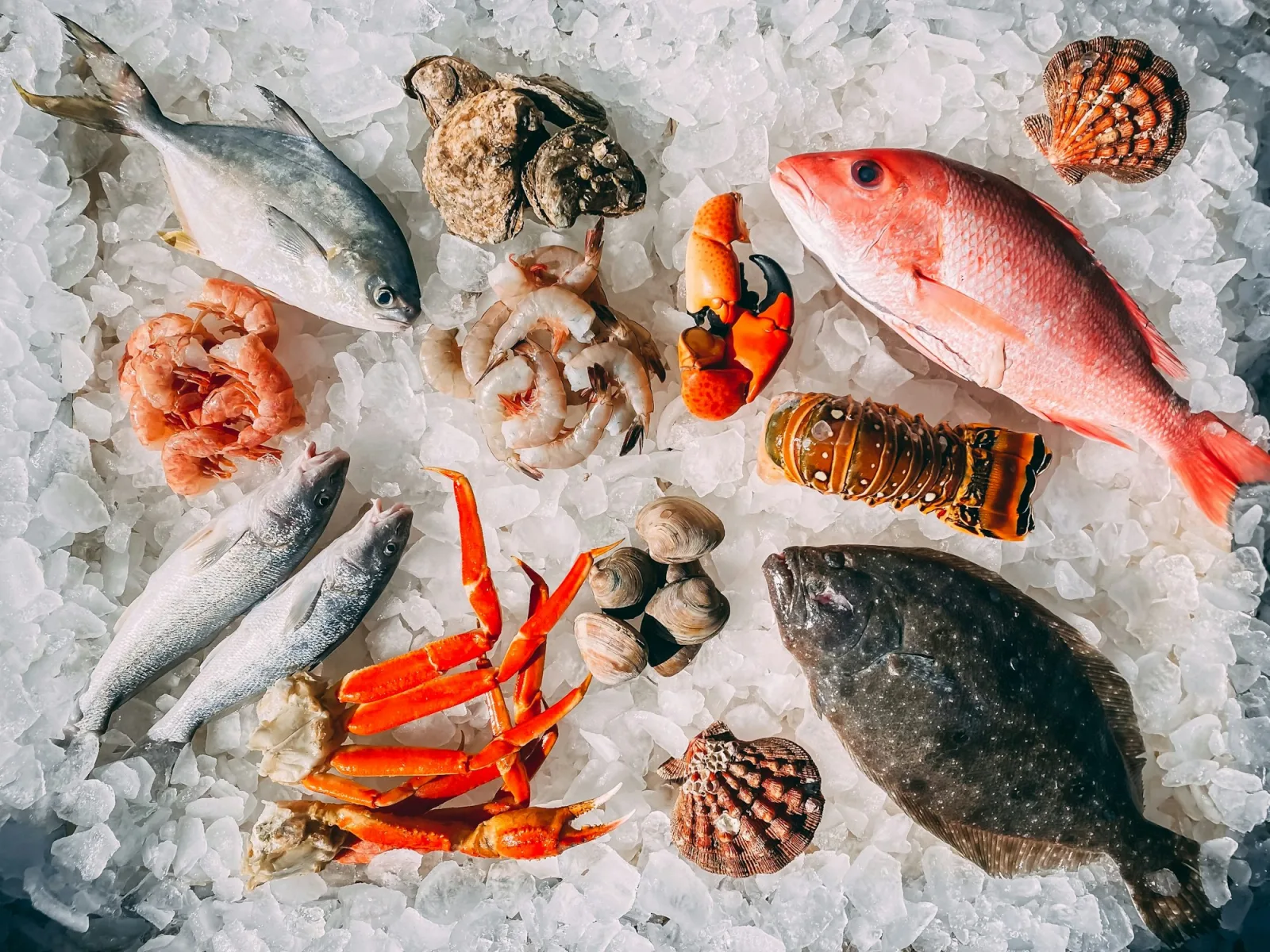 Fresh fish and seafood displayed on ice
