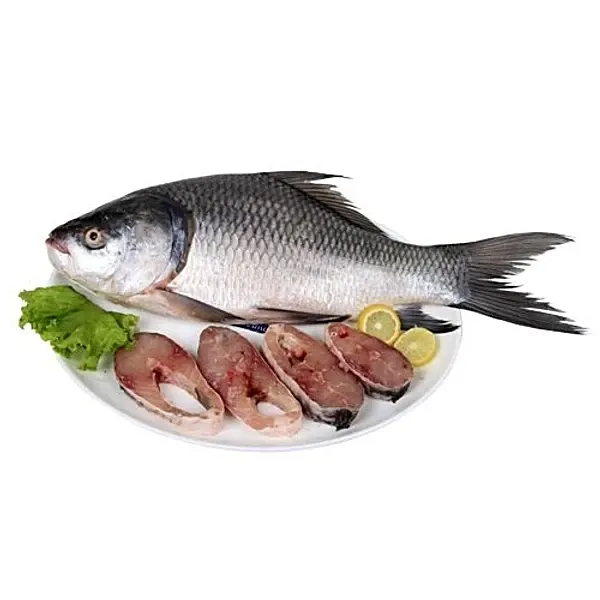 catla3.webp