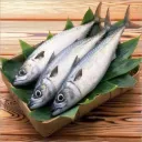 Atlantic Salmon