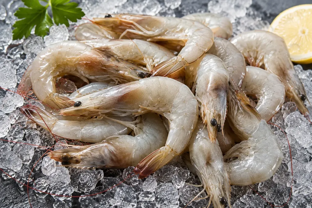 Shrimp