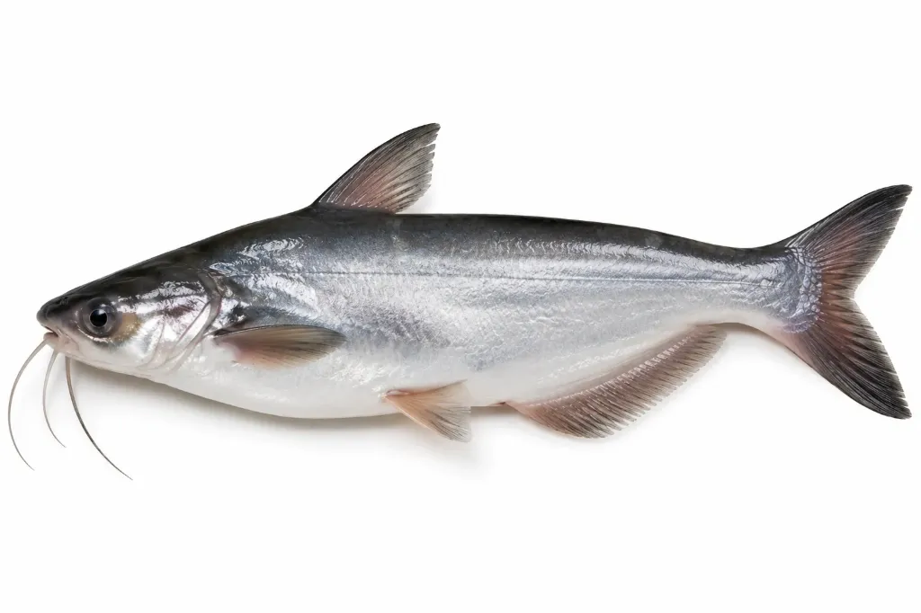 Kalbasu