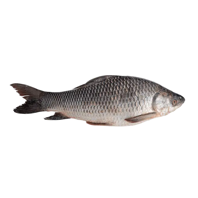 Mrigal (1Kg)