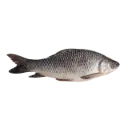 Mrigal (1Kg)